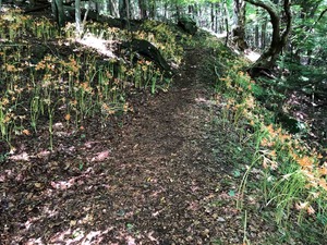 IMG_5265