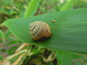 DSCN0261