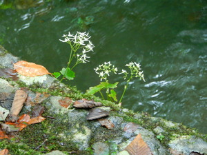 DSCN0748