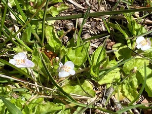IMG_9203