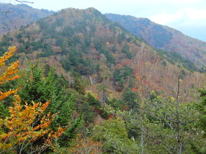 DSCN9626