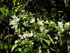 DSCN0459