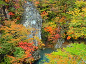DSCN0035