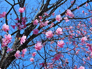 DSCN0492