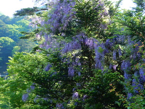 DSCN9945