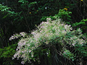 DSCN0673