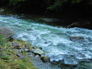 DSCN9457
