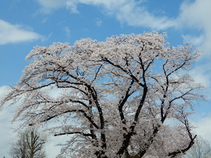 DSCN9932