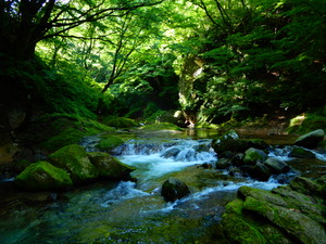 DSCN9654