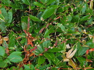 DSCN9479