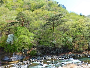 DSCN8320