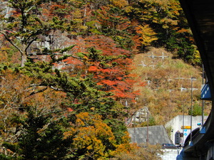 DSCN0150