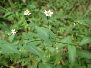 P9281279