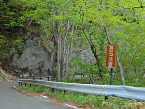 DSCN9968
