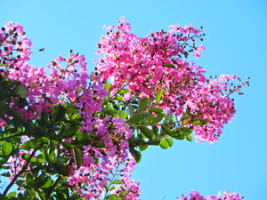 DSCN0539