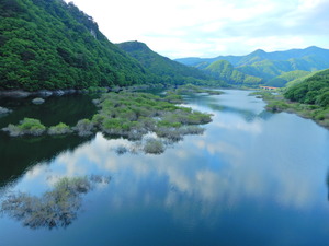 DSCN9658