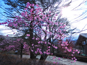 DSCN0036