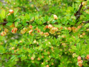 DSCN0646