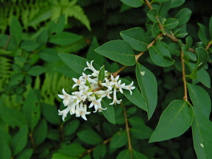 DSCN0121