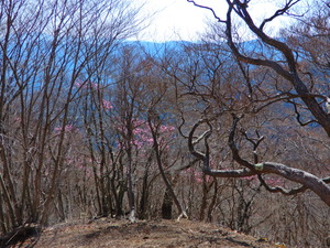 DSCN9809
