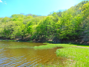 DSCN0373