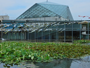 DSCN0452