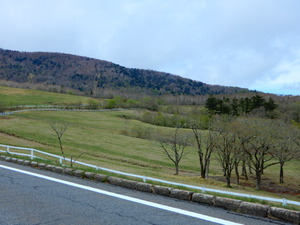 DSCN9290