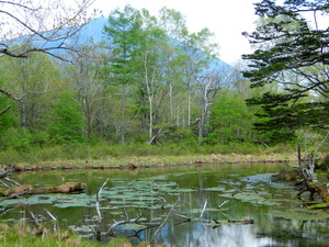 DSCN0709