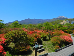 DSCN9732