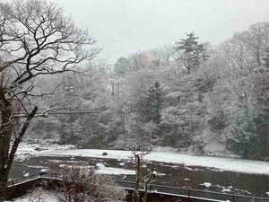 IMG_1479