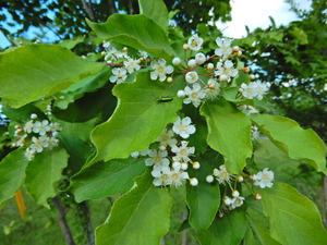 DSCN0292