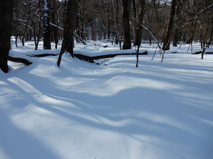 DSCN0280