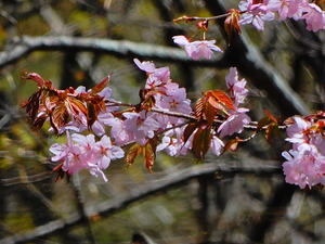 DSCN9797