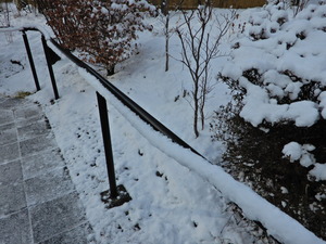 DSCN0228