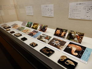DSCN0554