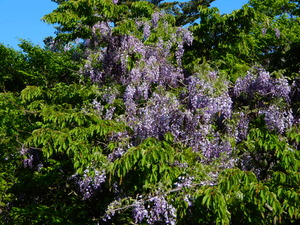 DSCN9940