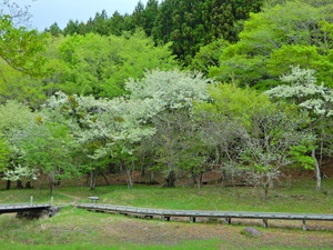 DSCN9563