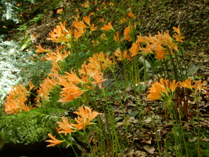 DSCN9845