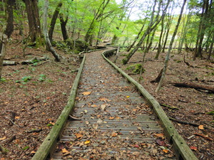 DSCN0093
