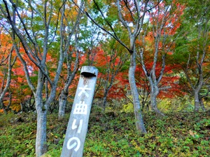 DSCN1664