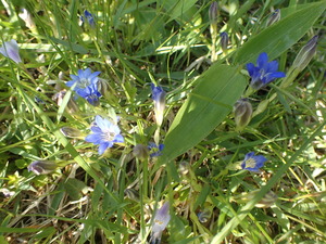 P6040060