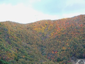 DSCN9969