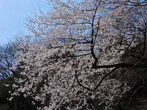 DSCN9355