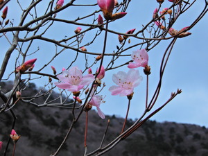 DSCN9742