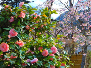 DSCN9275