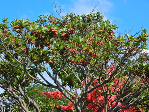 DSCN0163