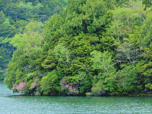 DSCN9910
