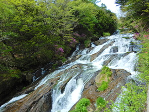 DSCN9762
