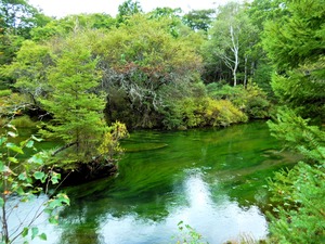 DSCN9928