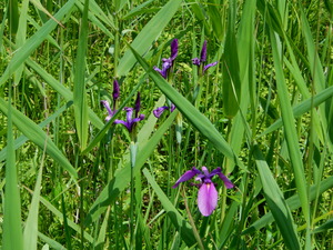 DSCN0595